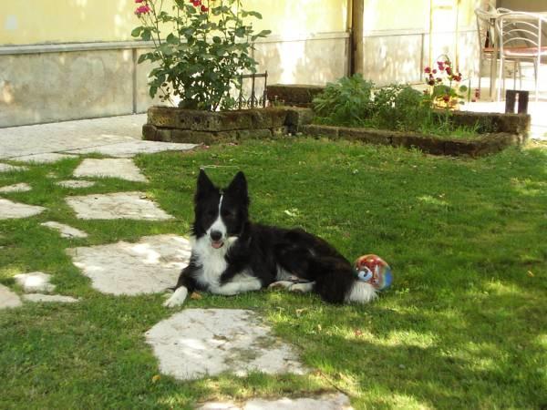 B&B Ai Tre Confini Monzambano Zewnętrze zdjęcie